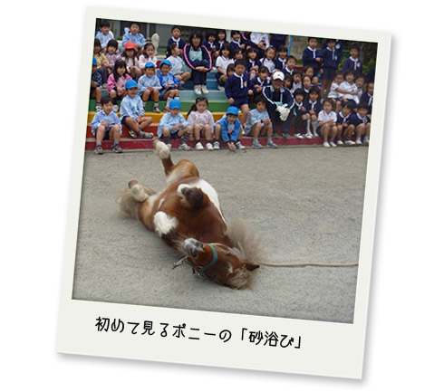 移動動物園写真