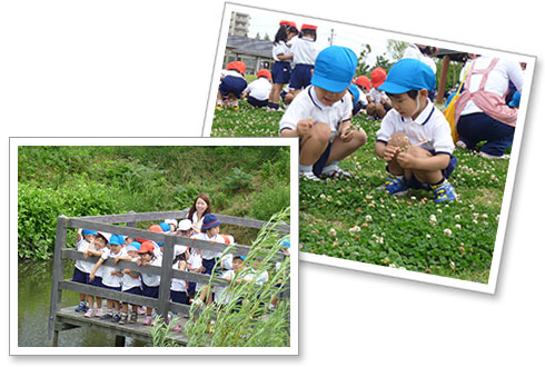 佐鳴湖北岸公園写真