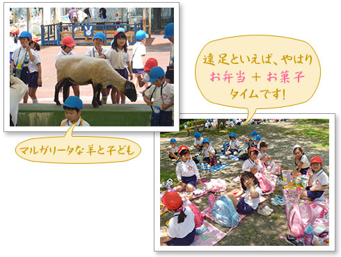 浜松市動物園画像