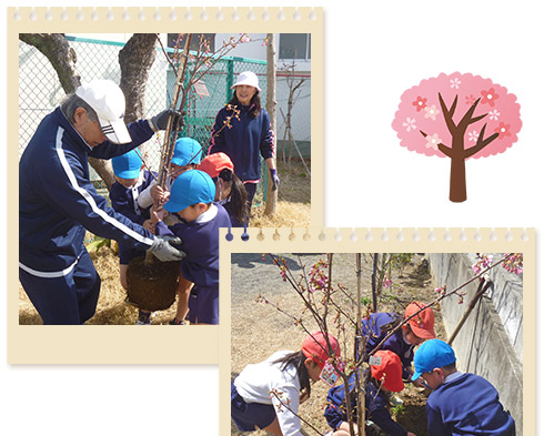 記念植樹写真