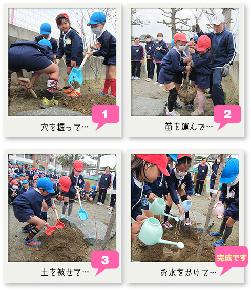 記念植樹写真