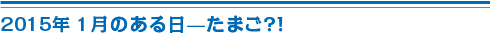 2015年1月のある日