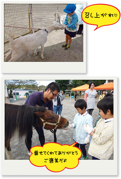 移動動物園